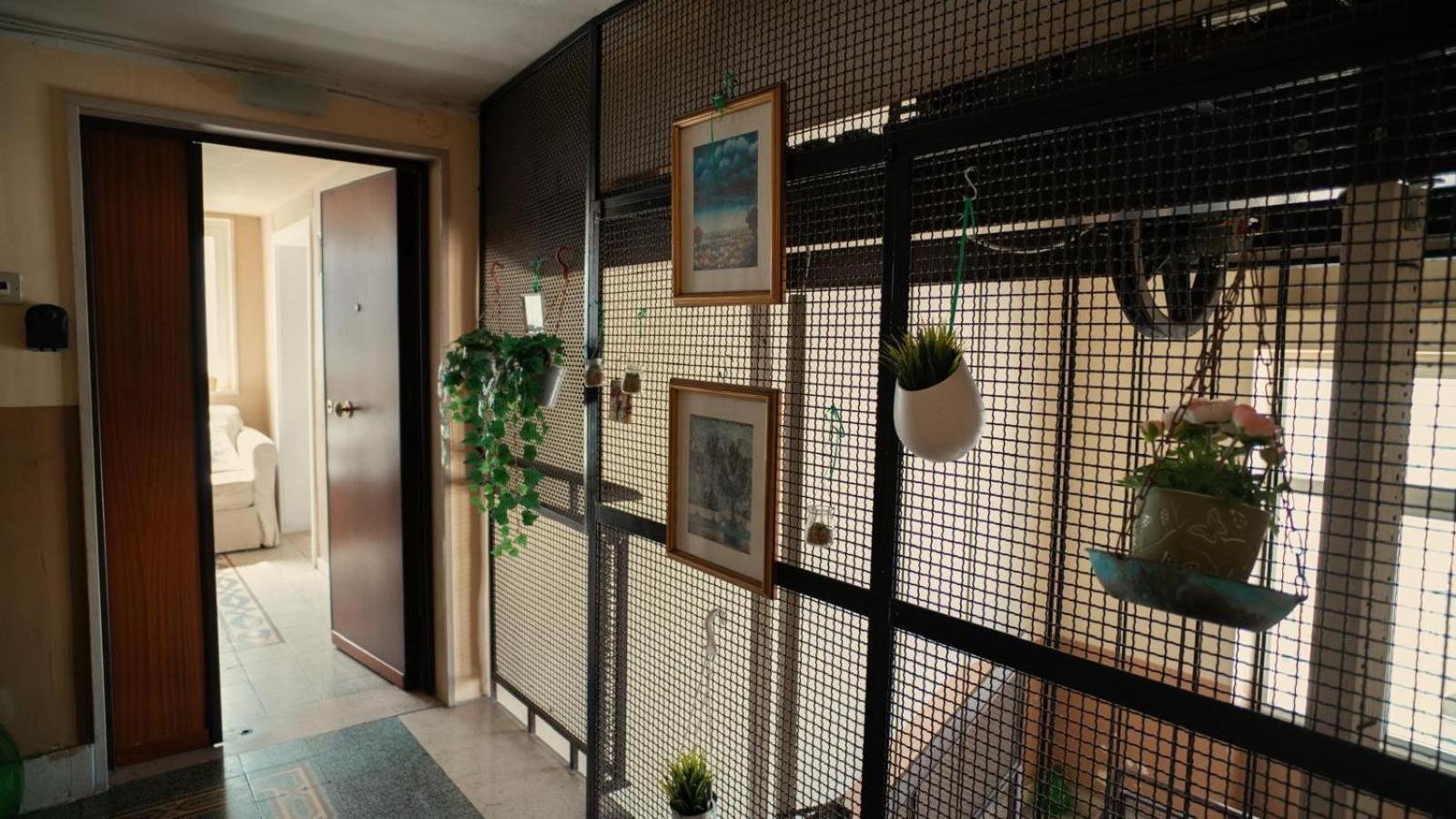 Casa Di Joe Βίλα Μπάρι Εξωτερικό φωτογραφία